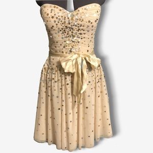 Sparkly champagne dress by BCBG!